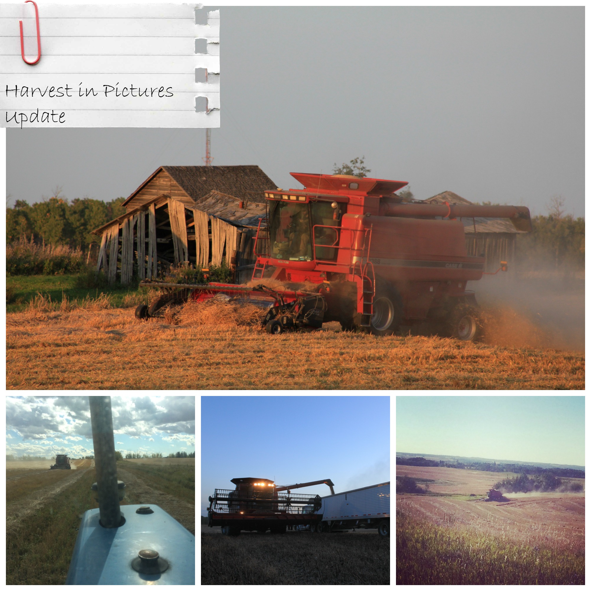 Harvest in Pictures 2014-An Update