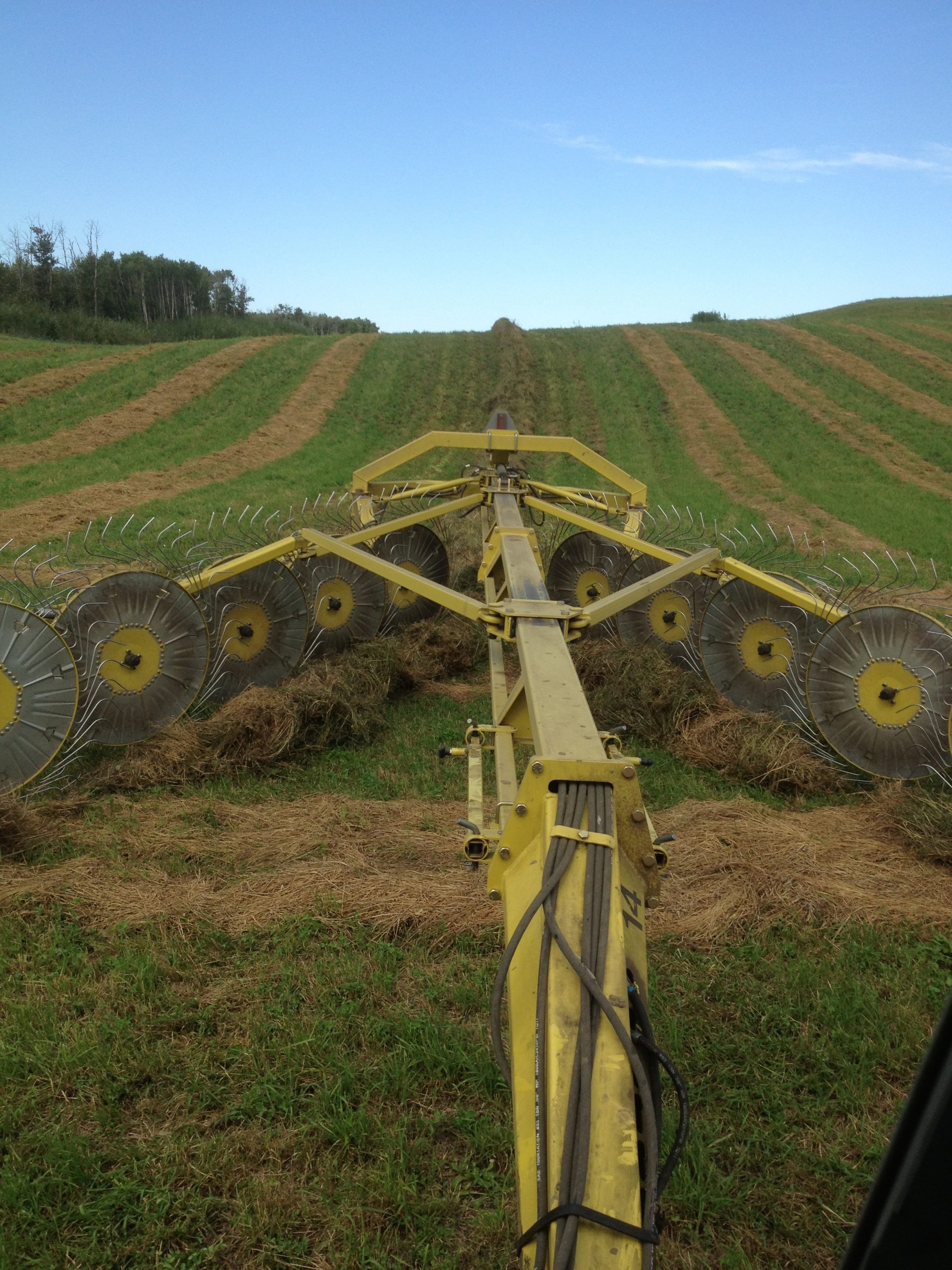 What Do Cows Eat In The Winter? Crooked Lake Farm