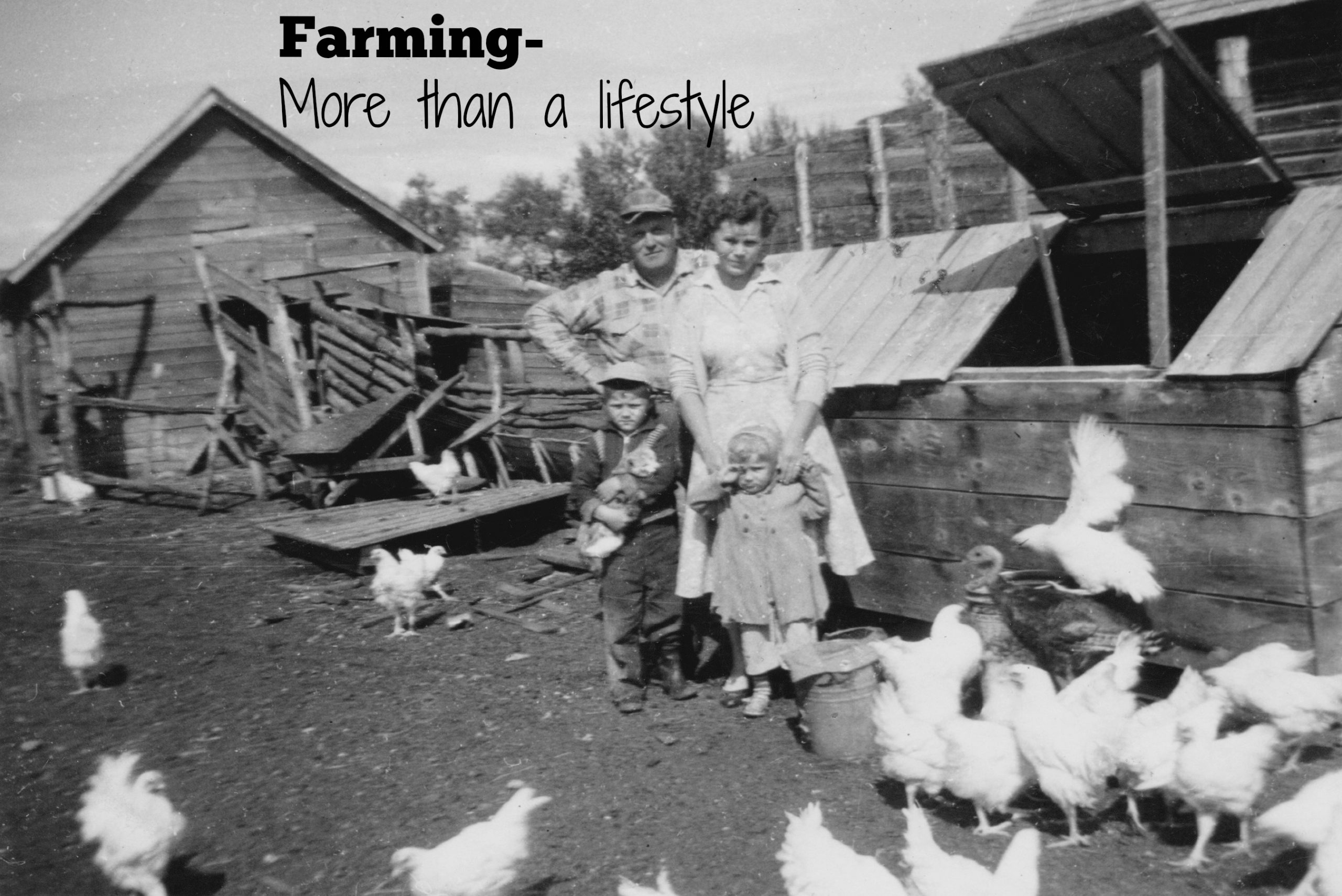 Farming–Not Just a Lifestyle