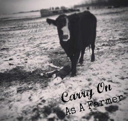Carry On As A Farmer
